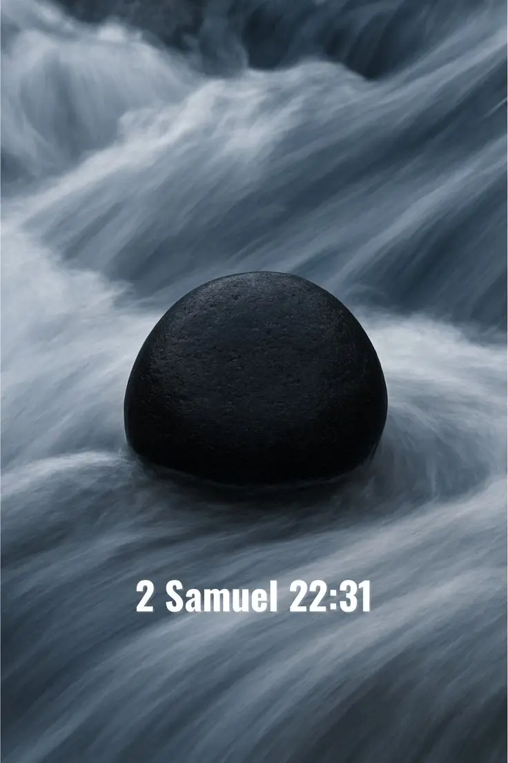 2 Samuel 22:31